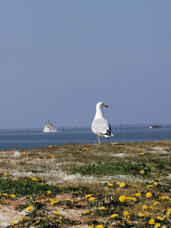 Kleinaberfein An Der Nordseekueste Schweindorf Exterior foto