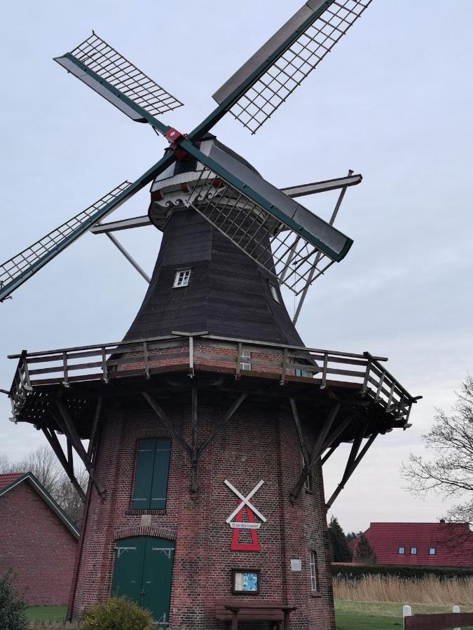 Kleinaberfein An Der Nordseekueste Schweindorf Exterior foto